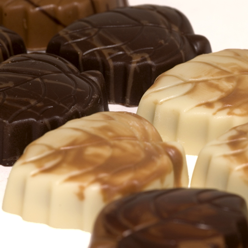 herfst-chocolade-bonbons
