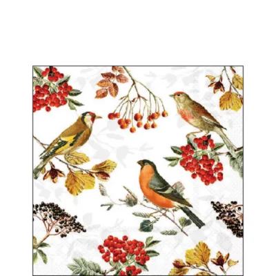 Ambiente servetten Autumn birds