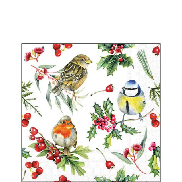Ambiente servetten Birds in winter